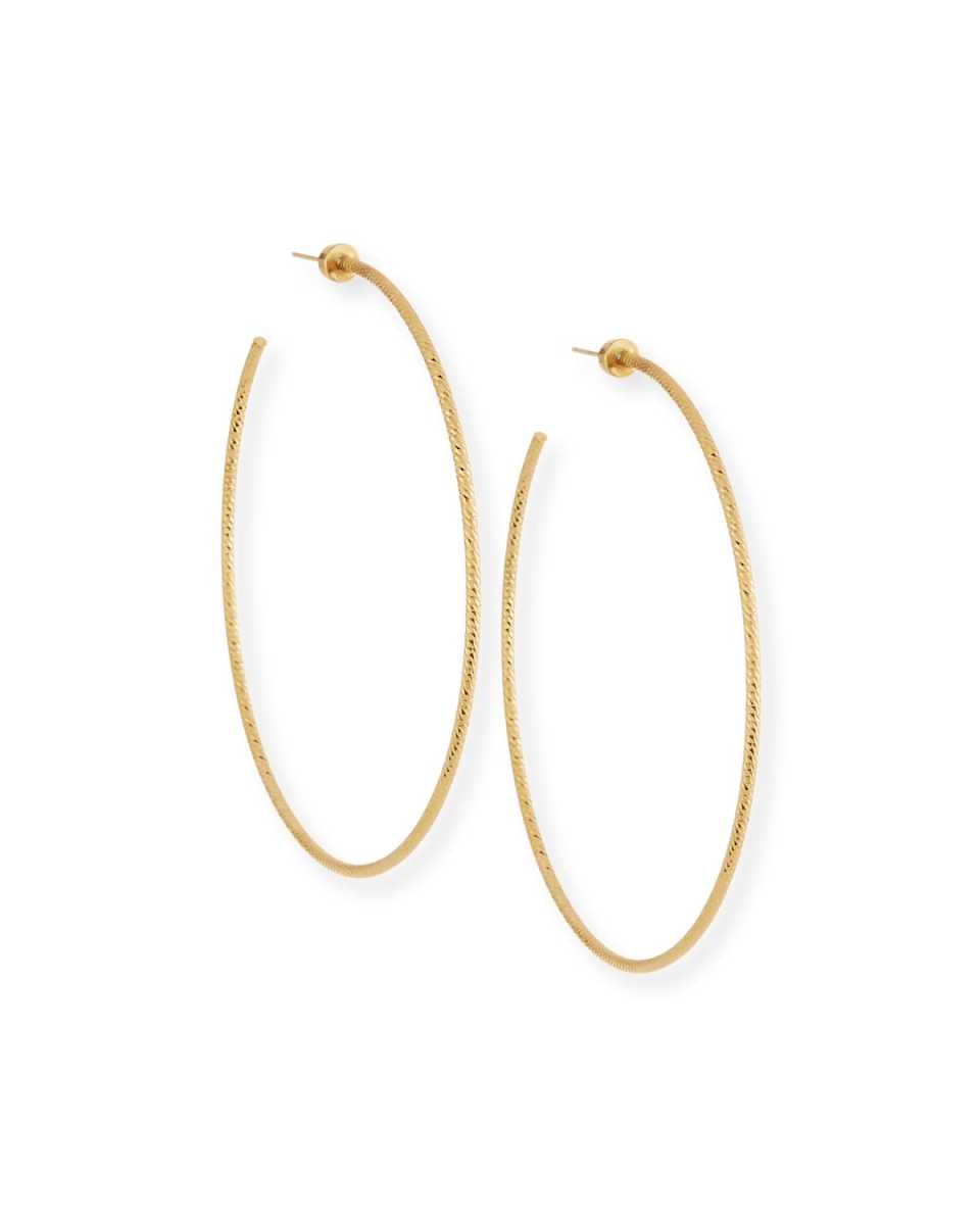 Donnie Hoop Earrings